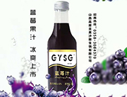 高原圣果蓝莓汁240ml