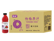 甄瑶60%杨梅果汁饮料600ml×15瓶